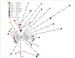 Modified Figure 1a from Brotherton et al., 2013