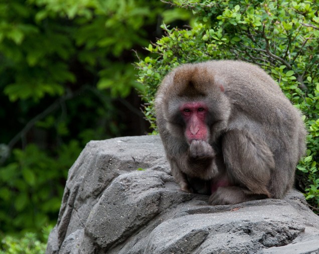 Think hard. Go deeper into the paper. 