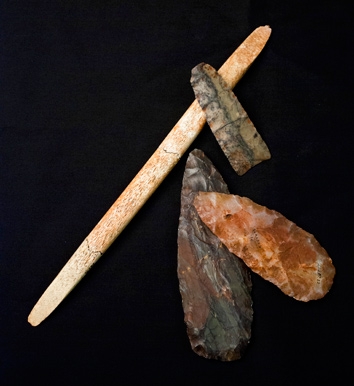 140214_NEWSCI_NativeAmeGenome.jpg.CROP.promovar-medium2