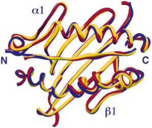 From: Immunity, Vol. 7, 473–481, October, 1997 (Andre´ a Dessen, C. Martin Lawrence, Susan Cupo, Dennis M. Zaller, and Don C. Wiley). 