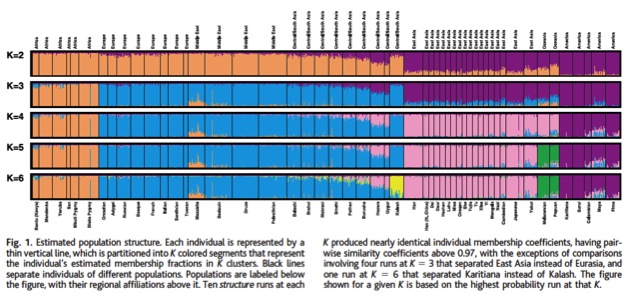 Figure 1 from Rosenberg et al. 2003 showing Structure runs at 2, 3, 4, 5, and 6 populations. Each population is separated by a black line. Each thin vertical line represents one person. Ancestry groupings inferred from the program on the basis of genetic similarity are represented by different colors, so that a thin vertical line that is ~60% purple and 40% orange indicates a person who was inferred to have 60% ancestry from the “purple” genetic cluster and 40% ancestry from the “orange” genetic cluster. 