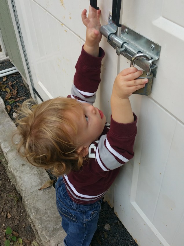 Actions undertaken without understanding are always foolish, and often dangerous.