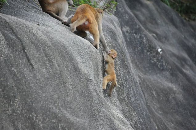 Mentoring is everything in science.  