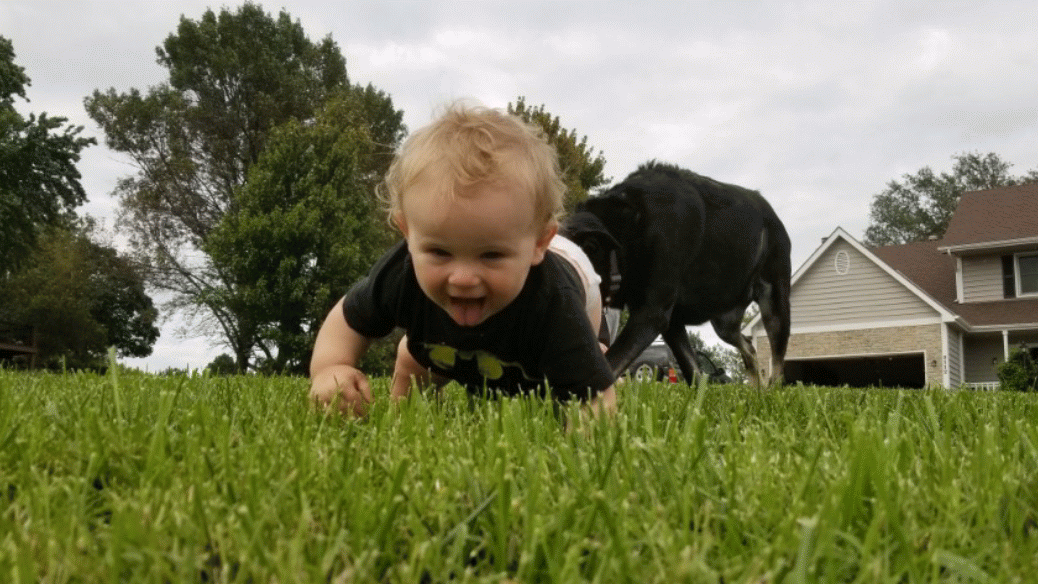 20180918_194954-ANIMATION